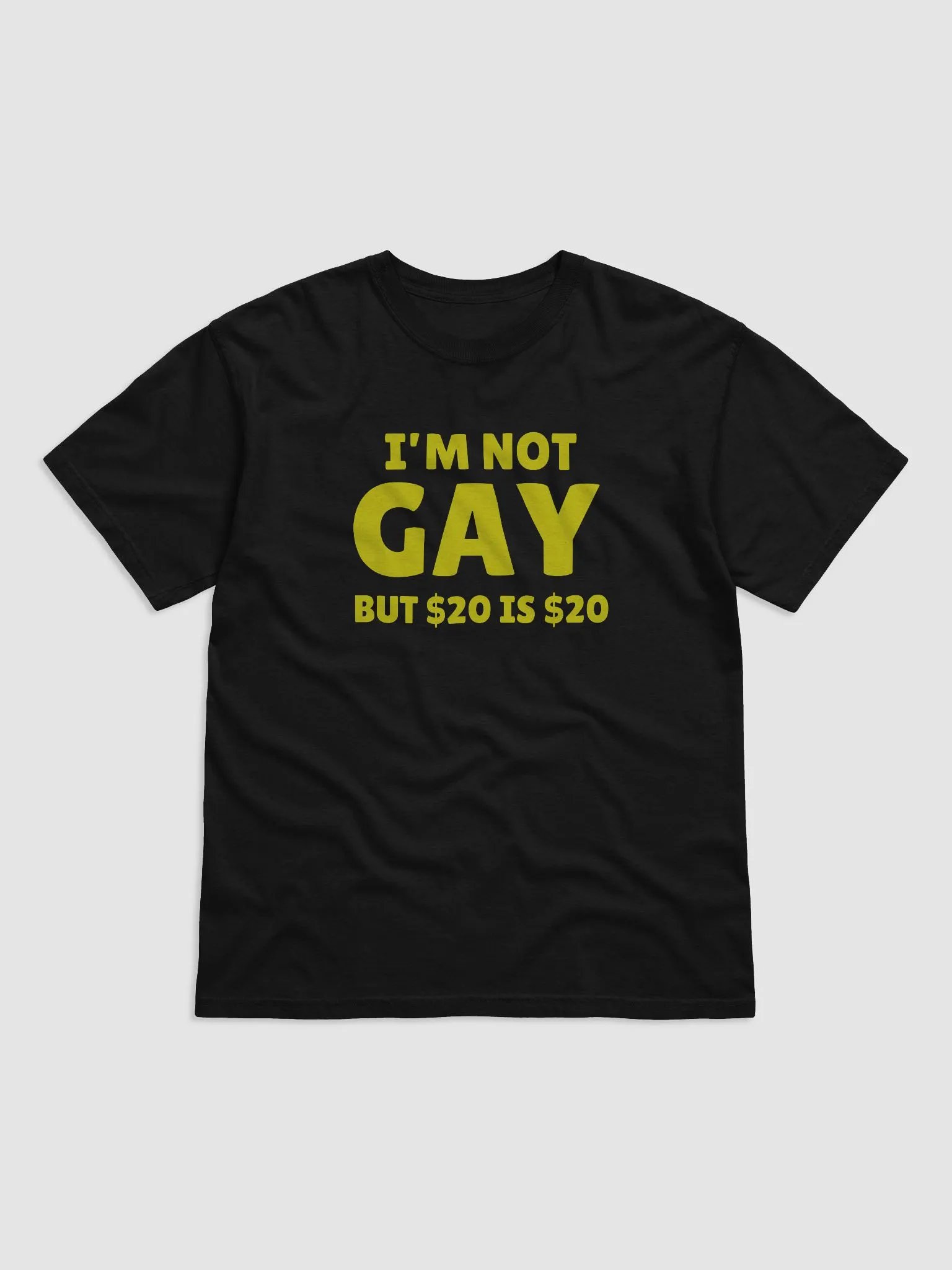 Not Gay But $20 is $20 Front Print Unisex Tee product image (1)