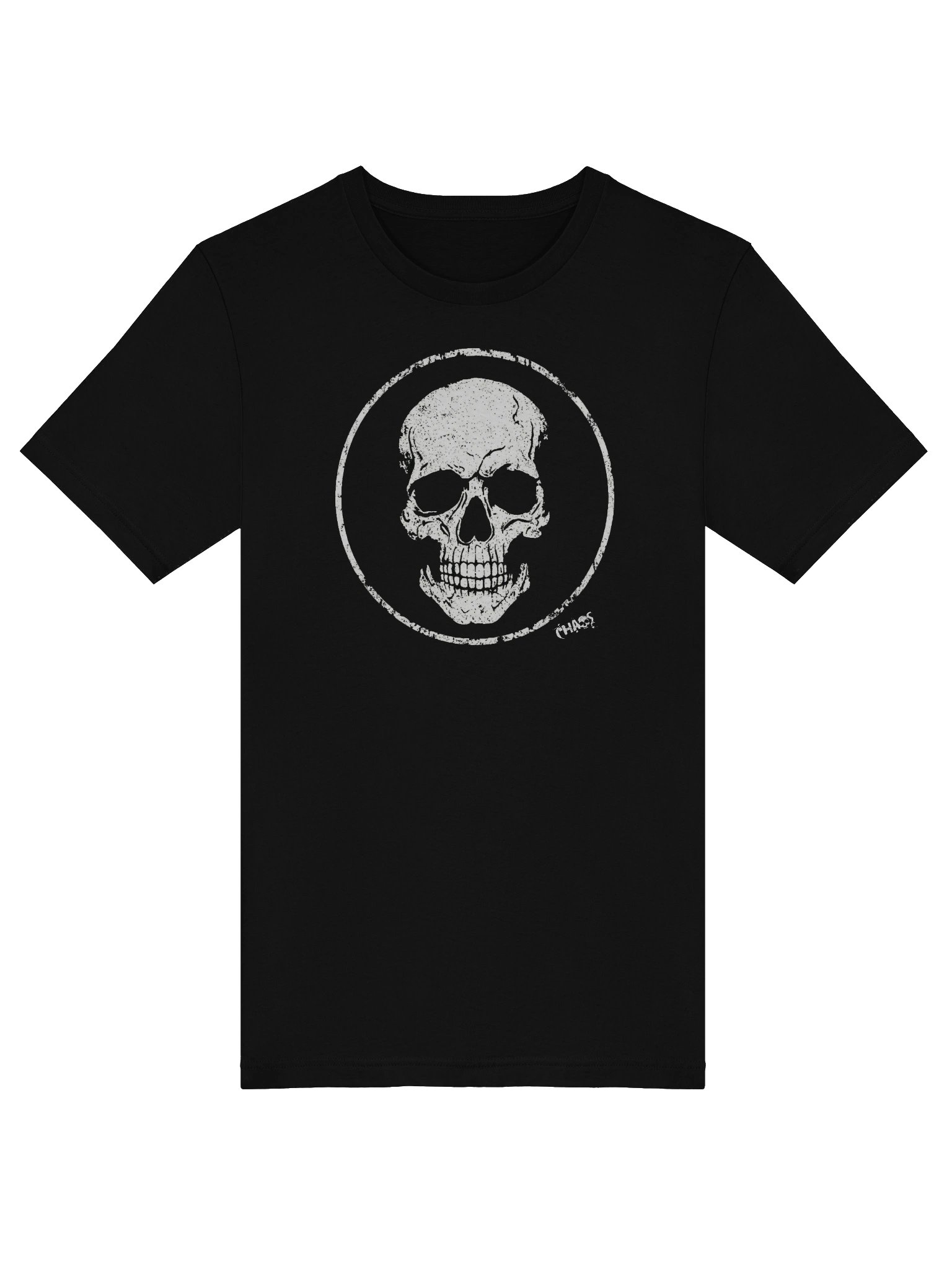 Skull product image (3)
