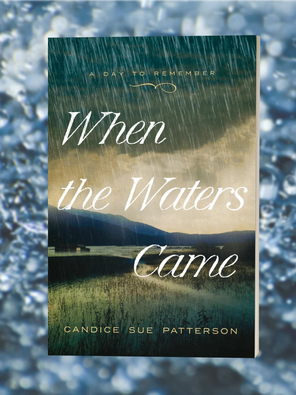 When the Waters Came Signed Paperback product image (1)