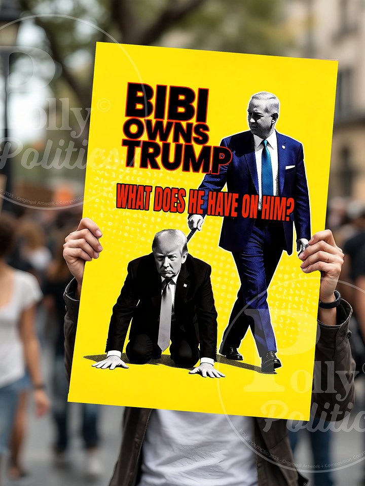 Bibi Owns Trump Protest Sign product image (1)