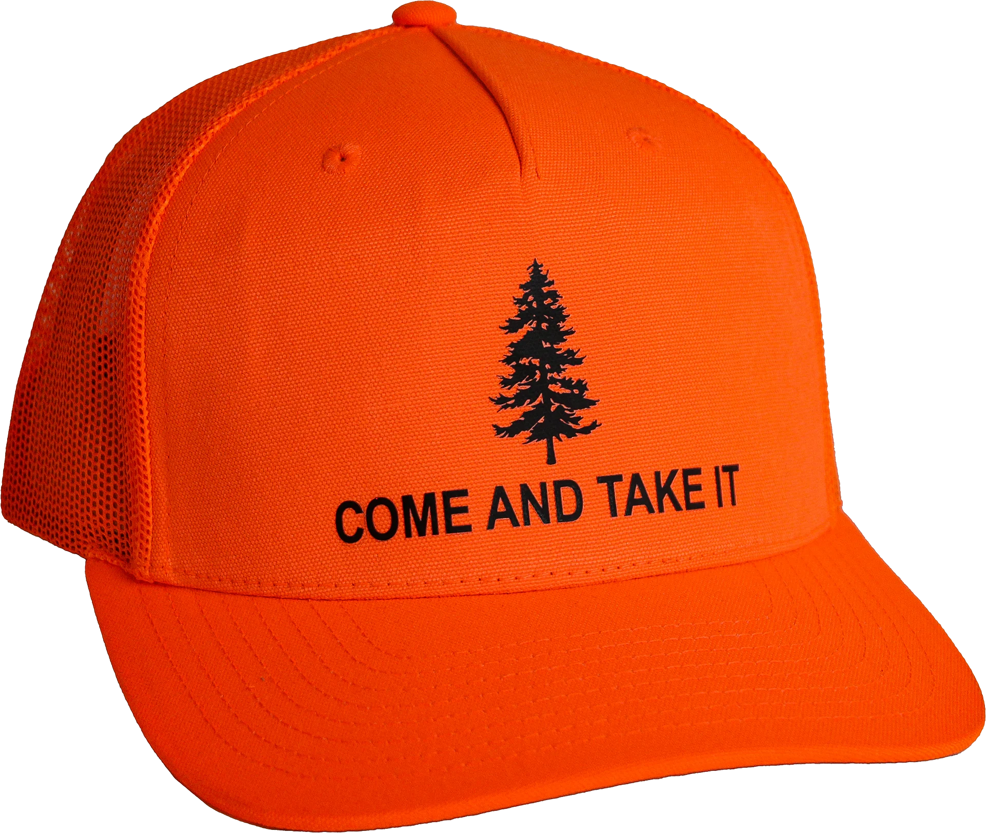 CATI Hat product image (1)