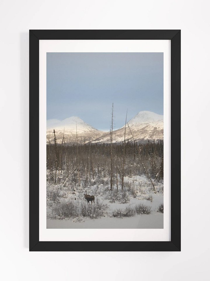 Moose and Mountains product image (1)