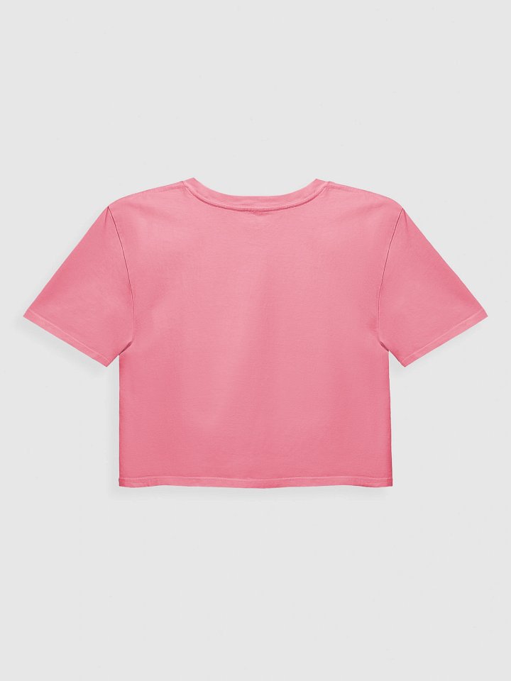 You Did it Girl Bow Cropped Tee - Blue/Pink product image (2)