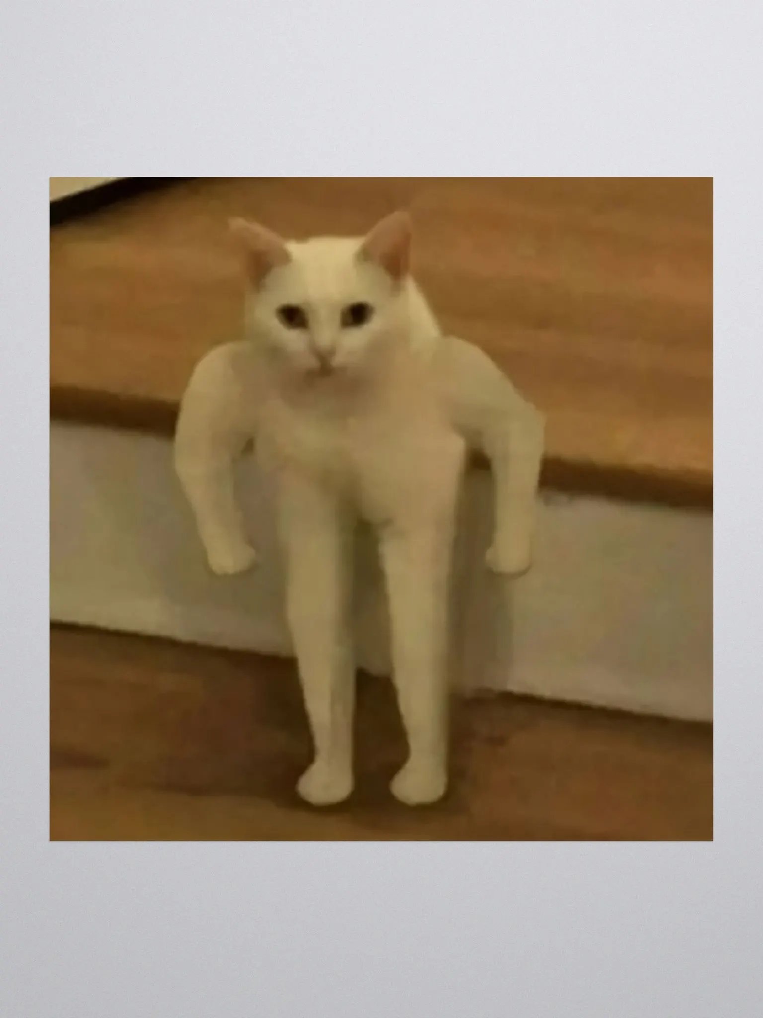 Kiss Cut Stickers: Meme Cats product image (1)