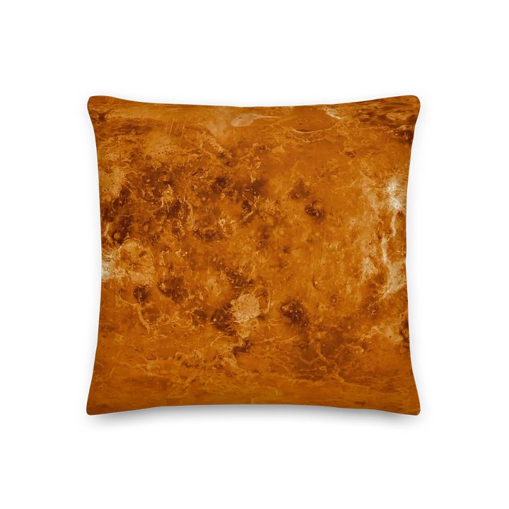 Venus Pillow! product image (3)