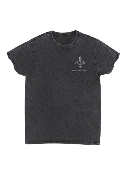T-Shirt | Brodé product image (1)