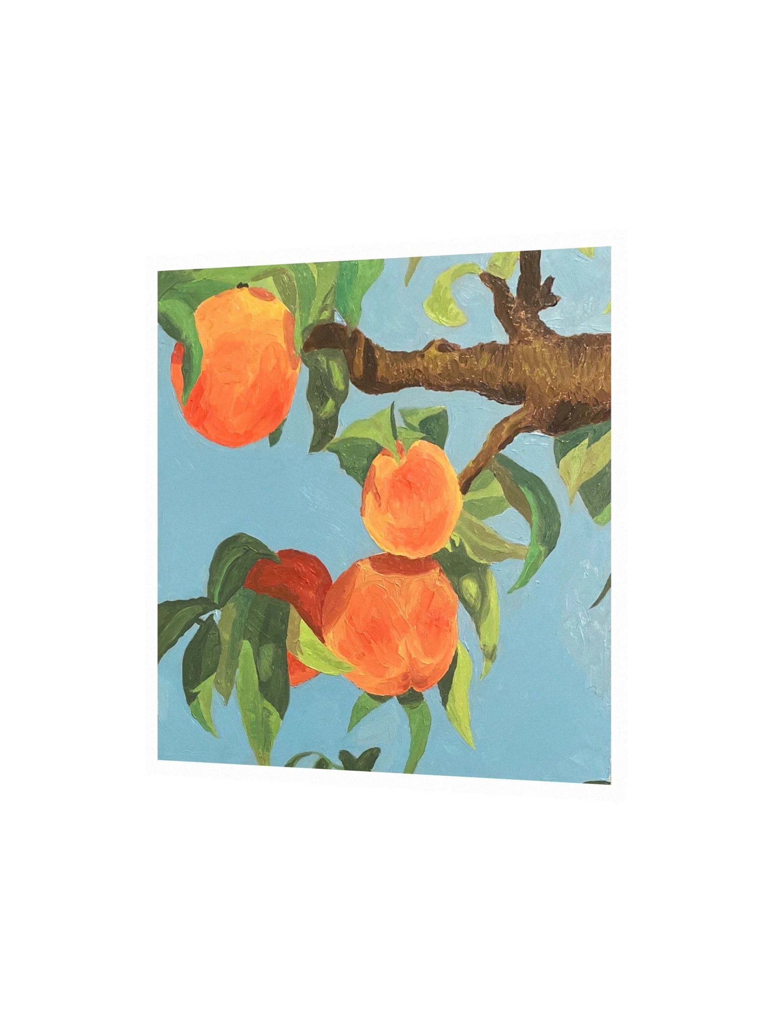 Bear Fruit Matte Paper Print product image (1)