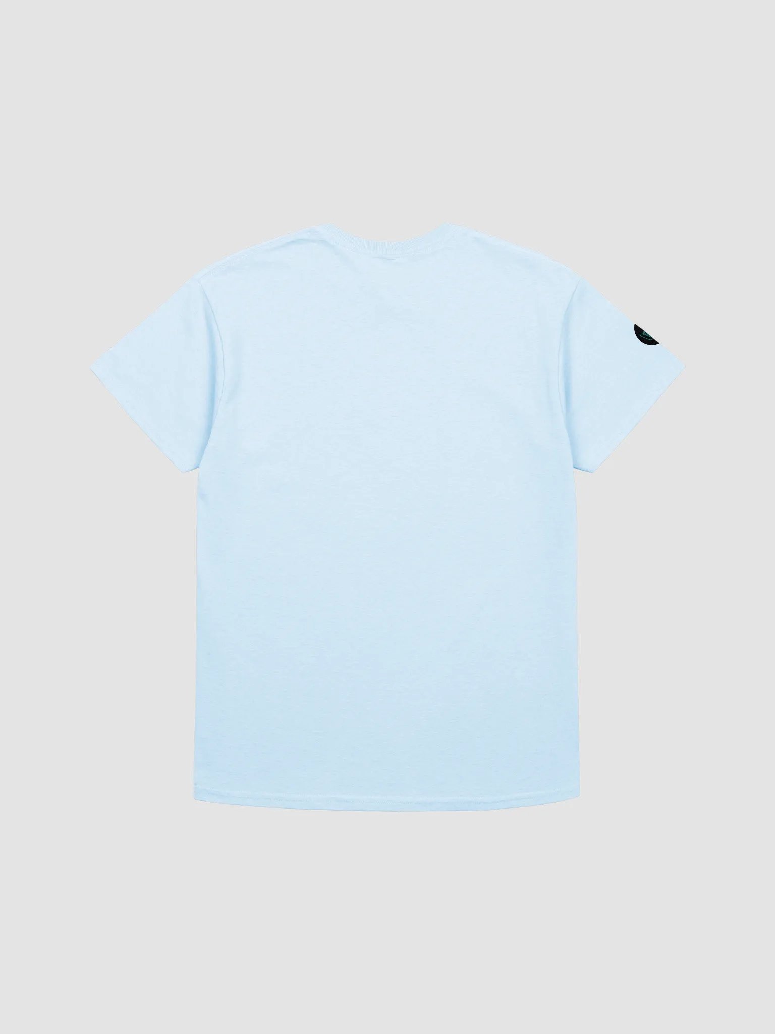Kiwi Ross Tee (Gildan) product image (10)