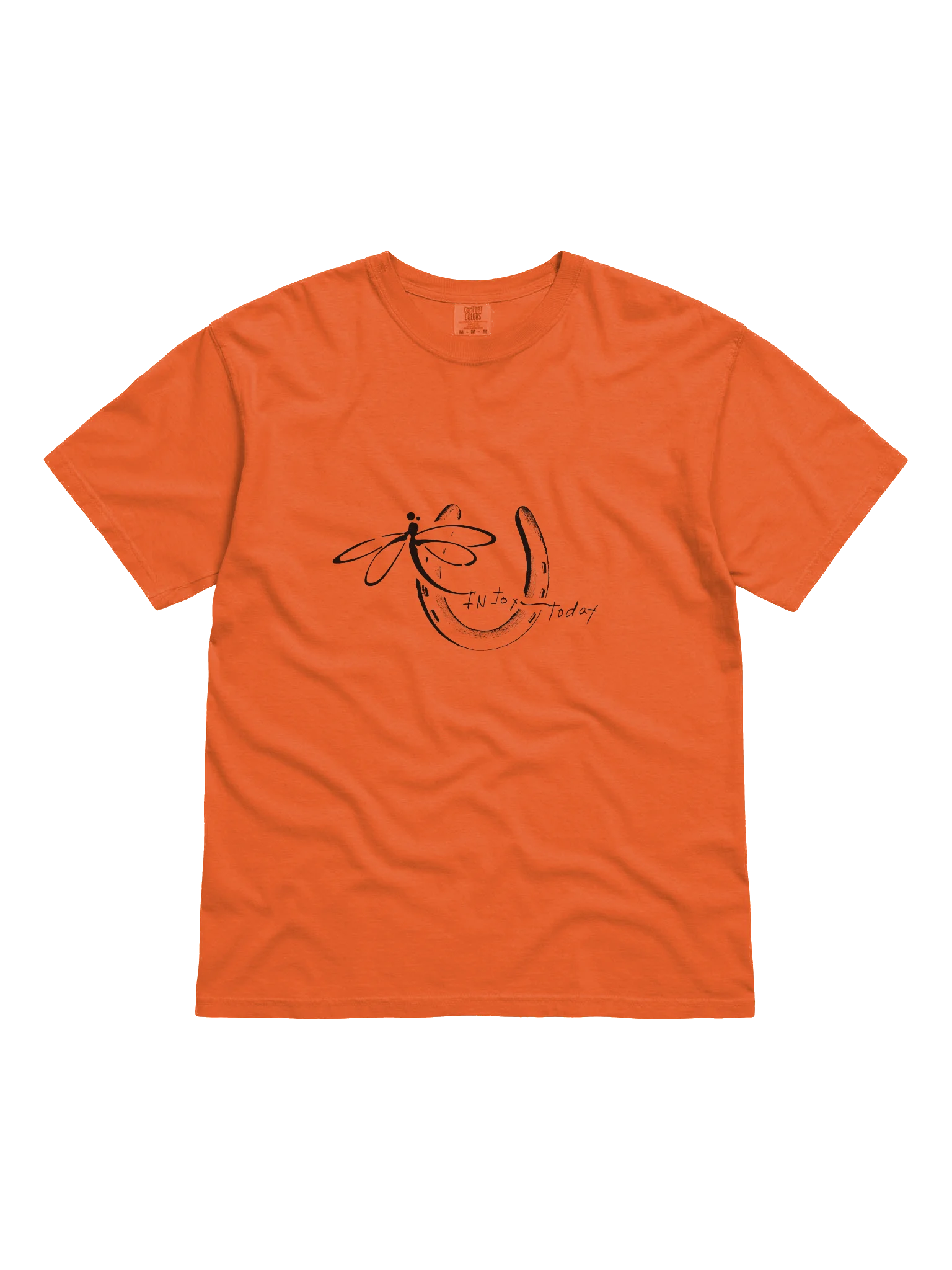 InJoy Today Daily Joy T‑Shirt| Premium Heavyweight Cotton T‑Shirt (Relaxed Unisex Fit) product image (1)