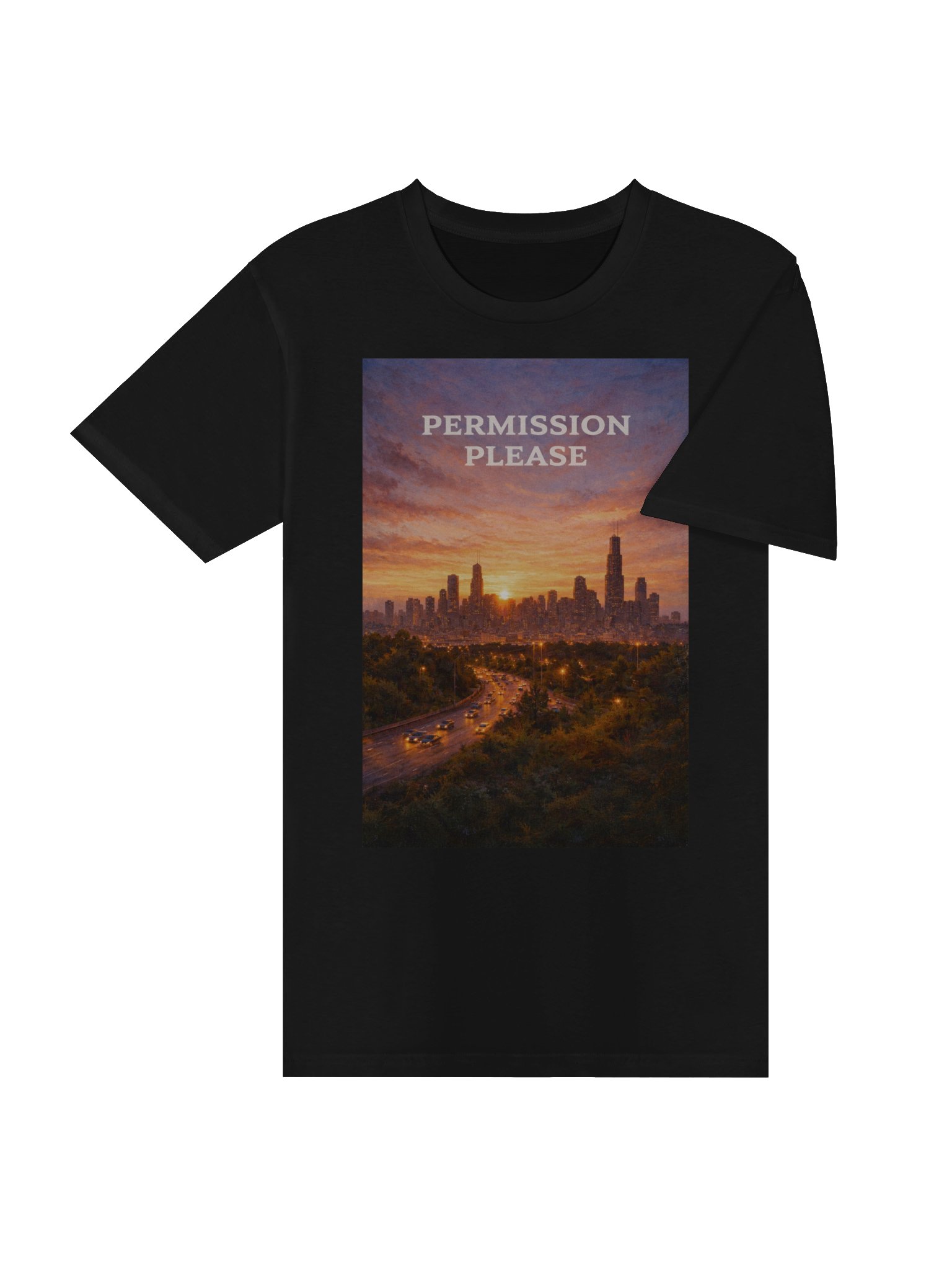 permission please (shirt) product image (4)