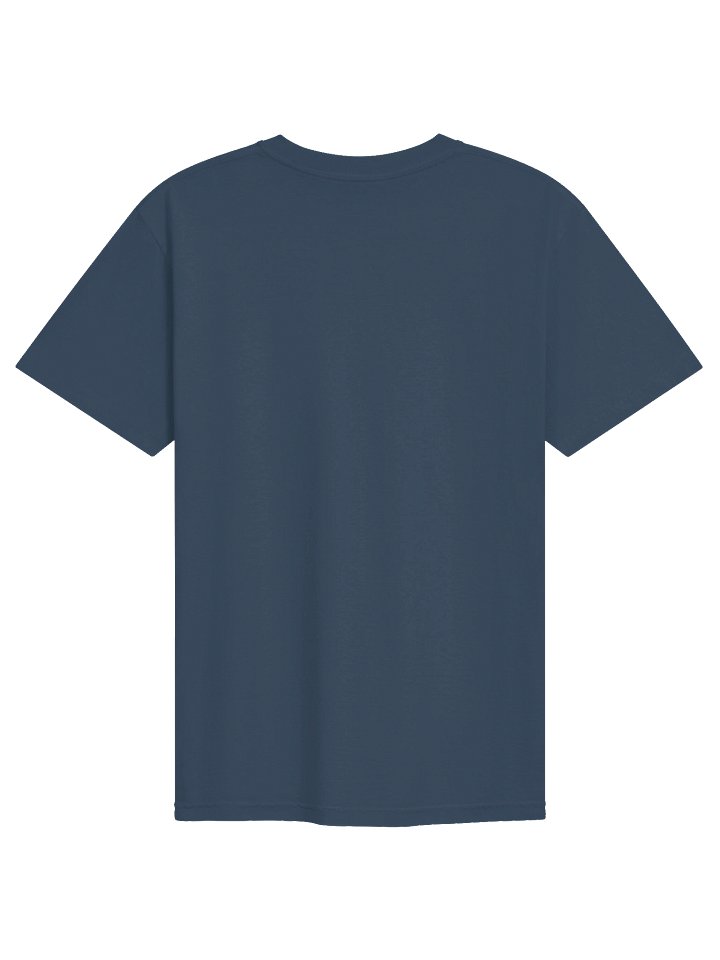 BWEAR BDCS TEE product image (28)