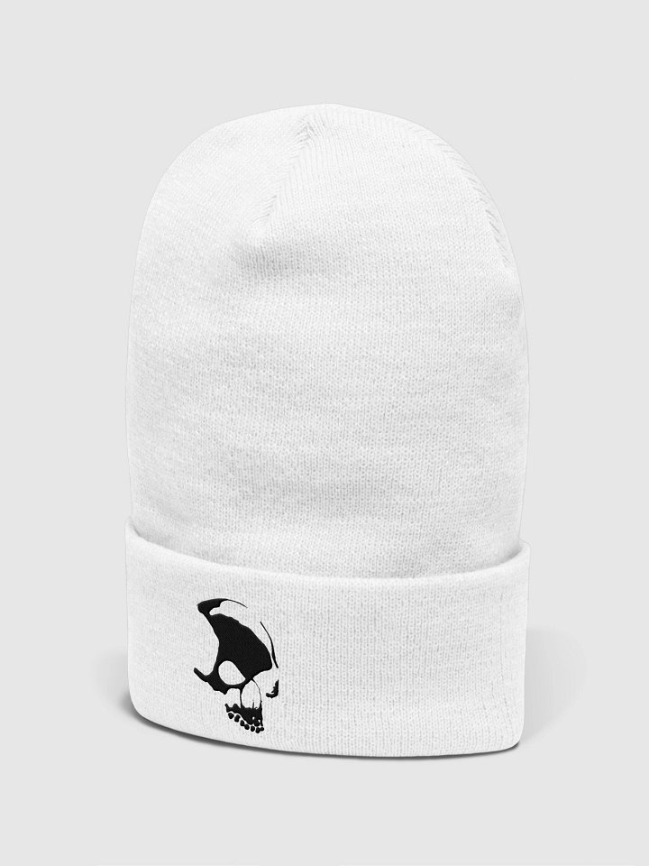 Armada Skull Yupoong Cuffed White Beanie product image (2)