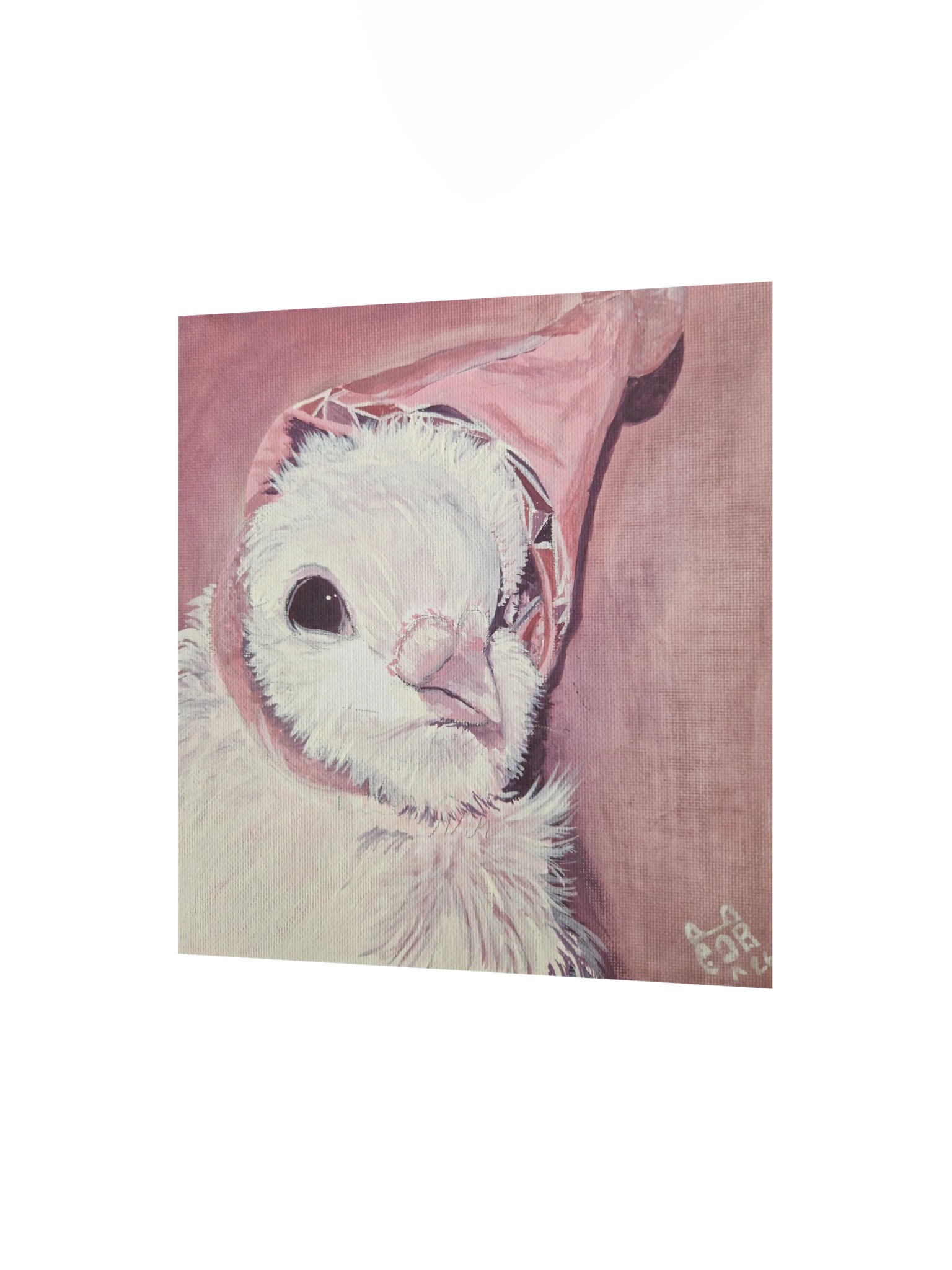 Hat Pigeon print product image (10)