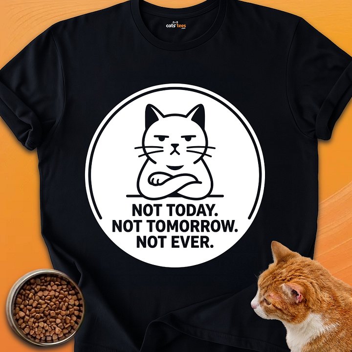 Not Today Not Tomorrow product image (1)
