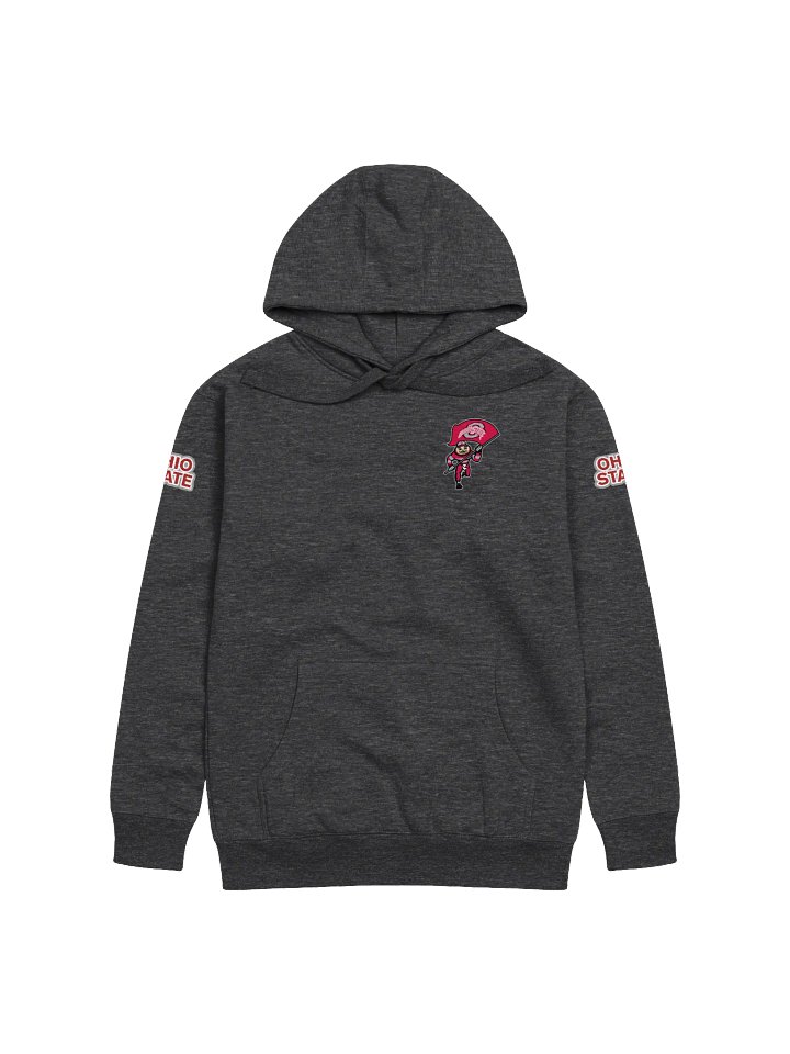 Ohio State Hoodie product image (17)