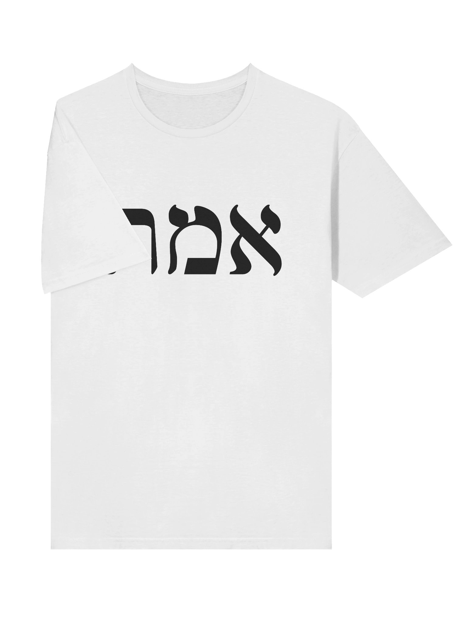 AMT Tee product image (5)