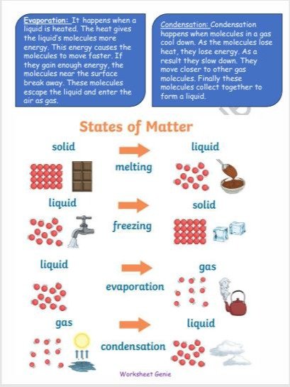 States of Matter (Worksheets) product image (3)