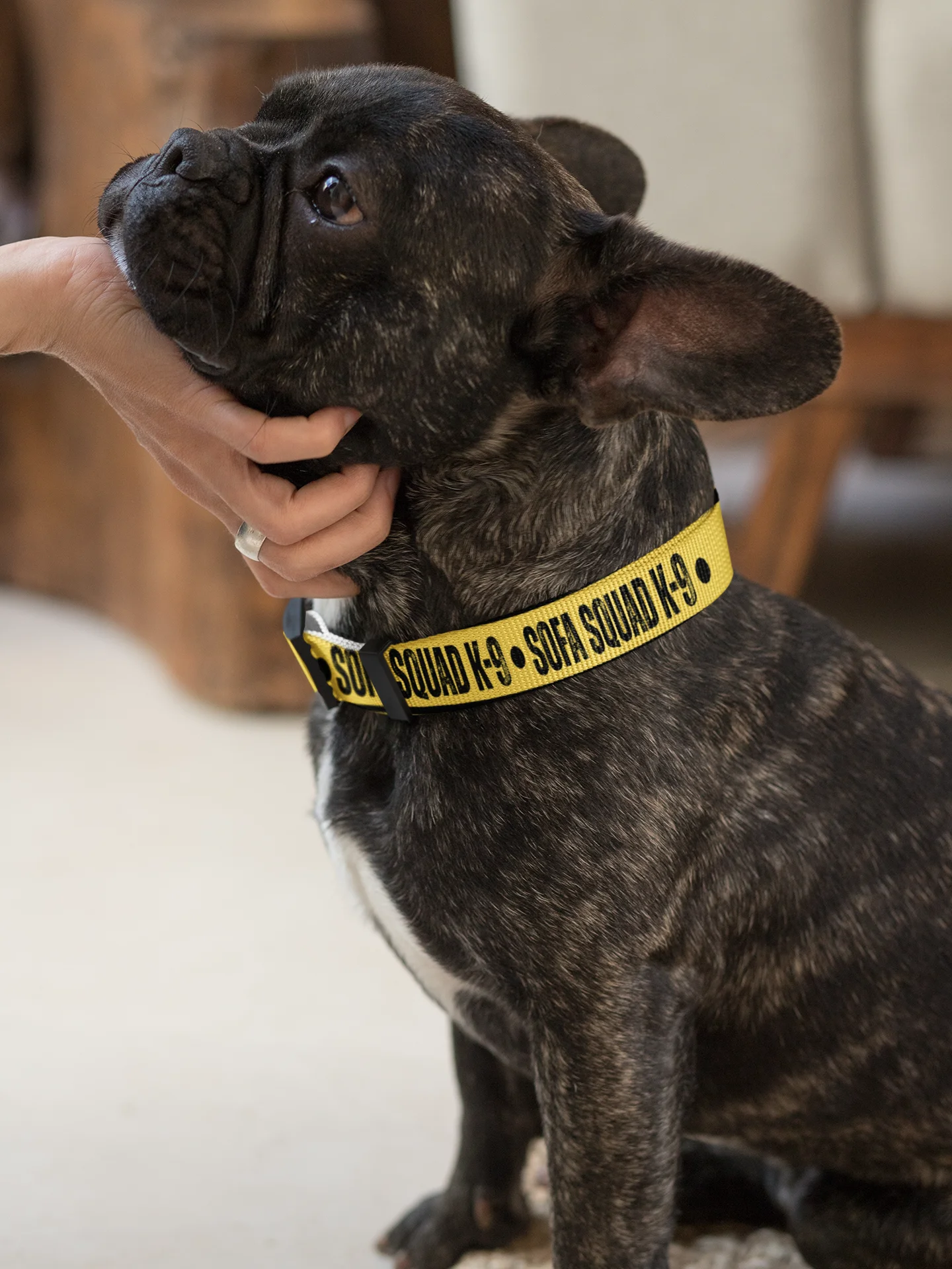 Sofa Squad K-9 Dog Collar product image (4)