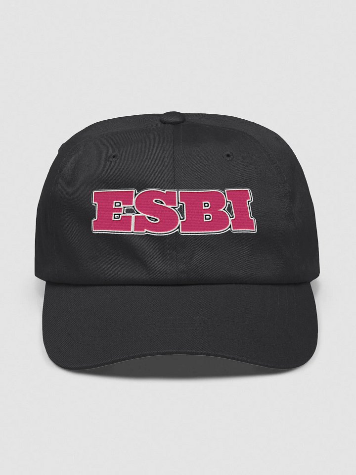 ESBI Classic Dad Hat product image (8)