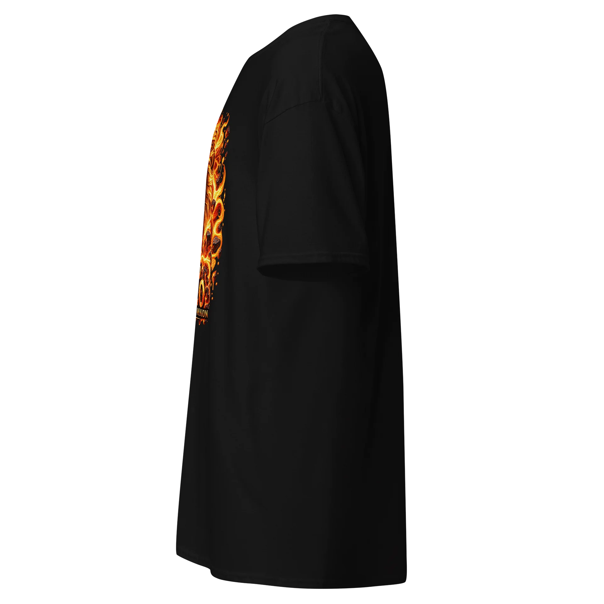 Solar Dominion — Leo Zodiac Tee product image (5)