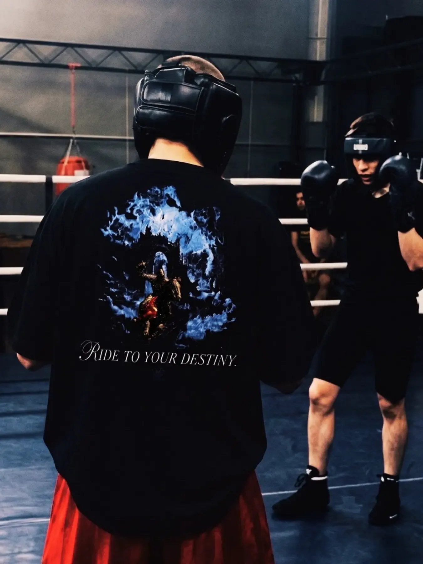 THE DESTINY HEAVYWEIGHT TEE product image (5)