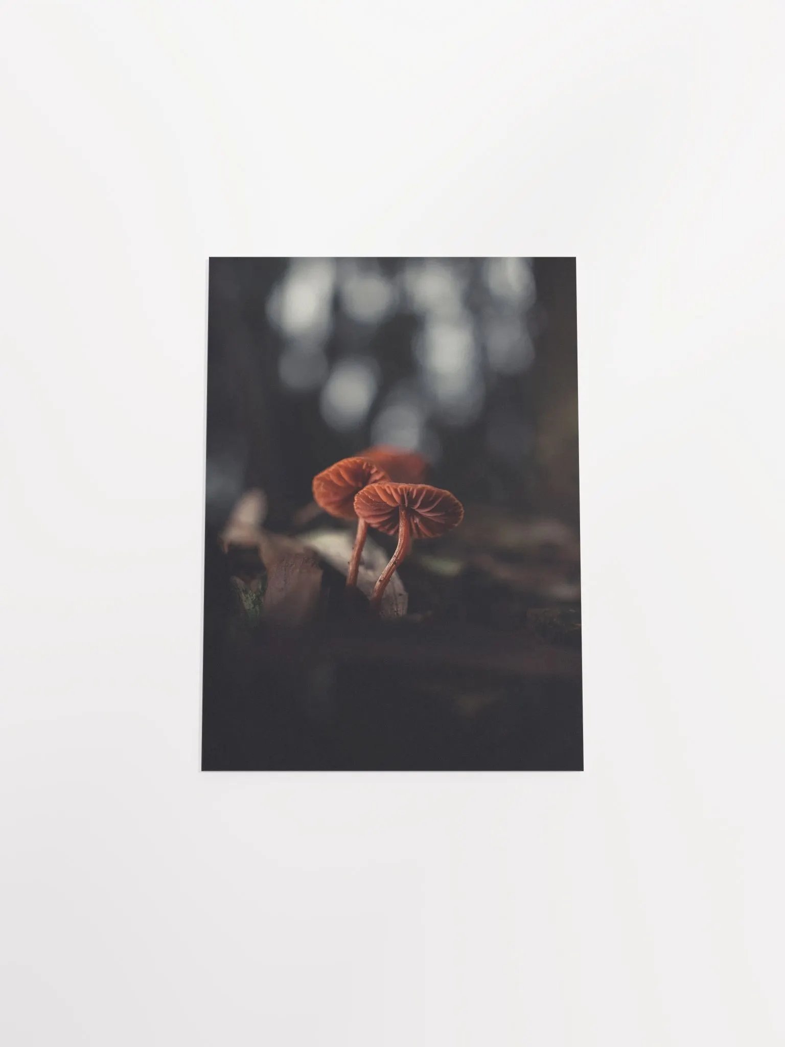 Lost product image (15)