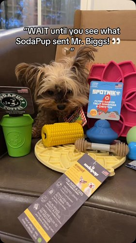 🐾📦 BIG NEWS FROM MR. BIGGS!!! 🎉❤️

We are SO excited to reveal the AMAZING goodies that SodaPup sent us!!! 😍🐶 From adorable t...