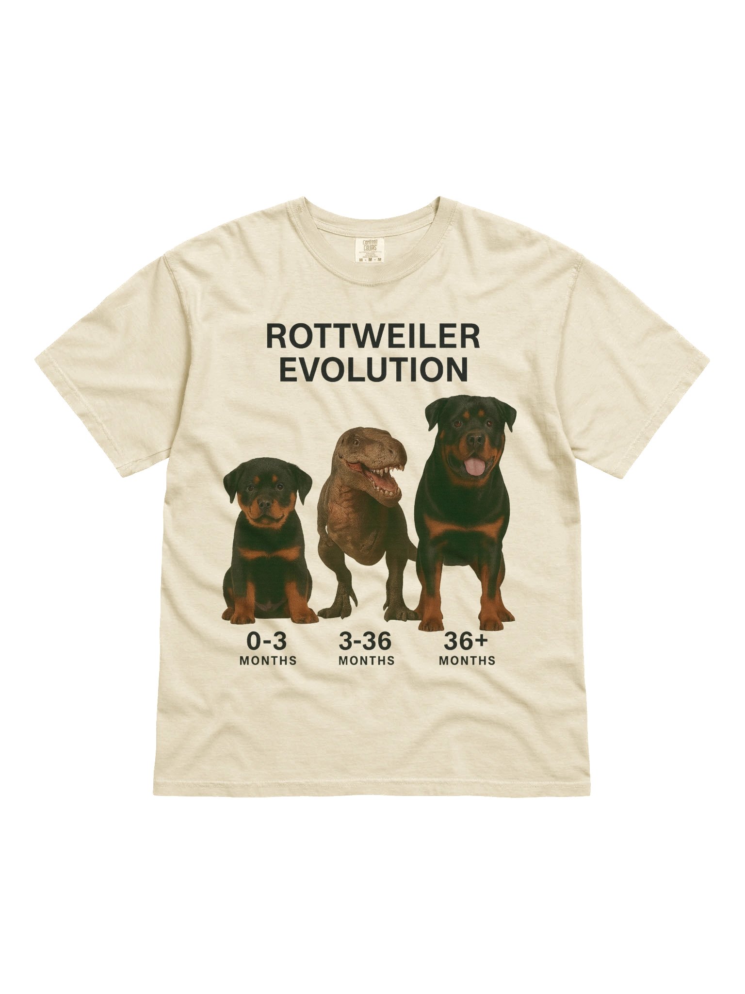 Rottweiler Evolution Tee product image (11)