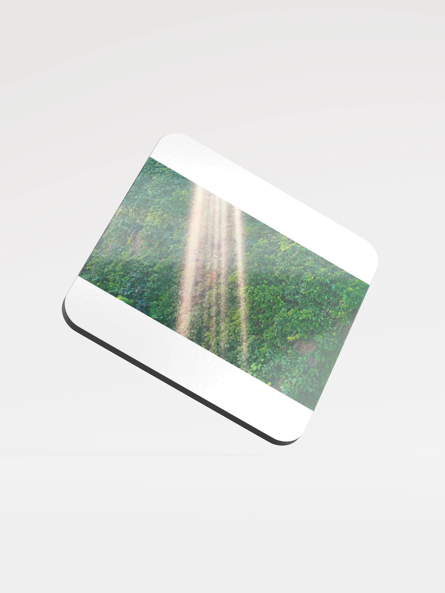 Sunlit Foliage Glossed Cork Coaster product image (1)