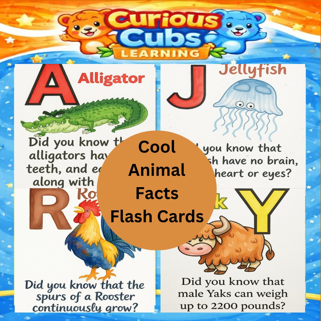 Animal Flash Cards Alphabet A-Z | ABC Learning Cards for Kids | K-2 product image (1)