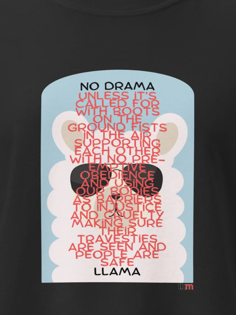 Drama Llama LKM Boxy Tee product image (1)