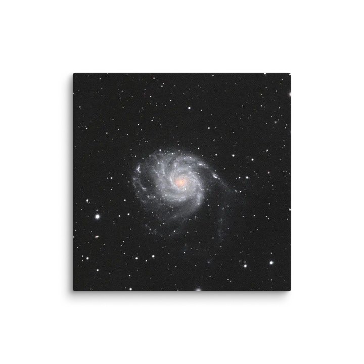 2025 - M101 by Eduardo Glasman product image (7)