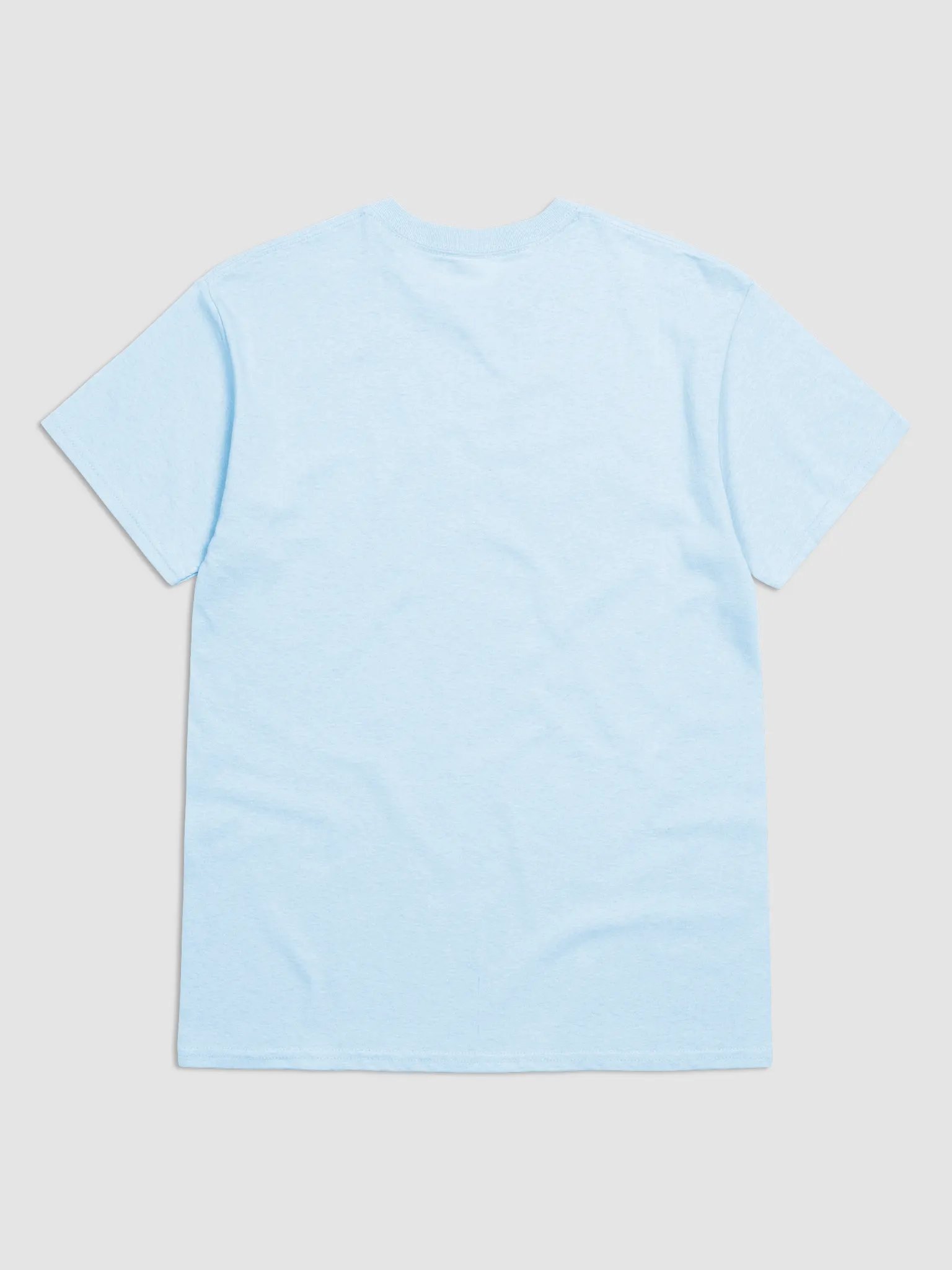 t-shirt : starry starry capybara product image (4)