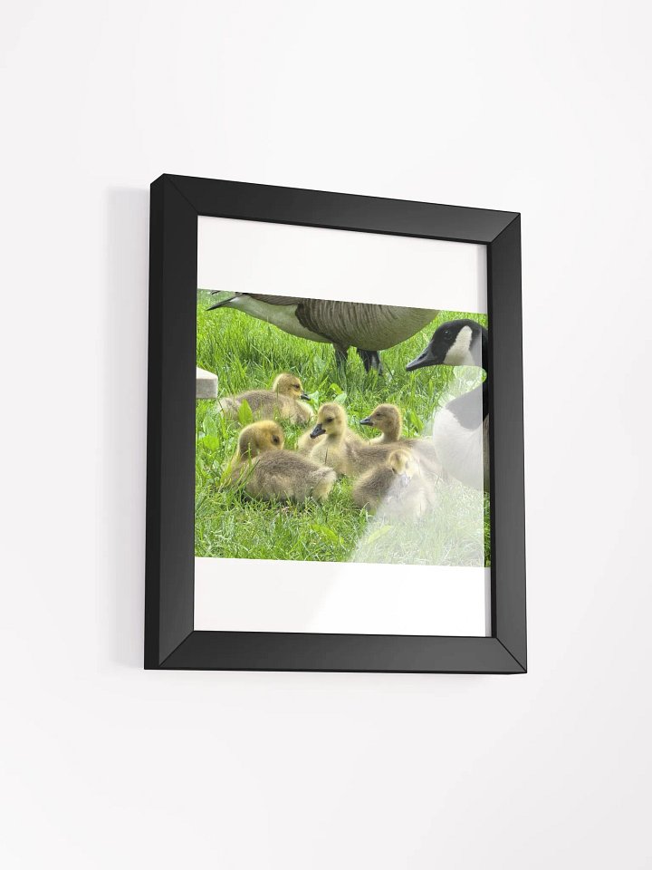 Mamma goose and babies product image (9)