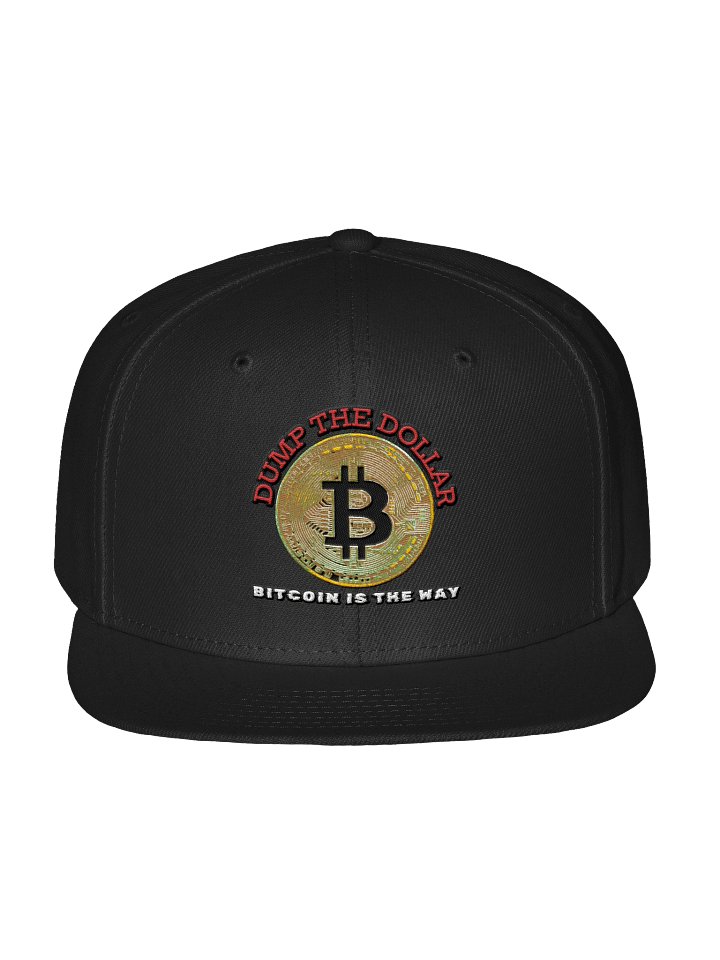 Dump the Dollar Bitcoin is the Way Embroidered Hat product image (1)
