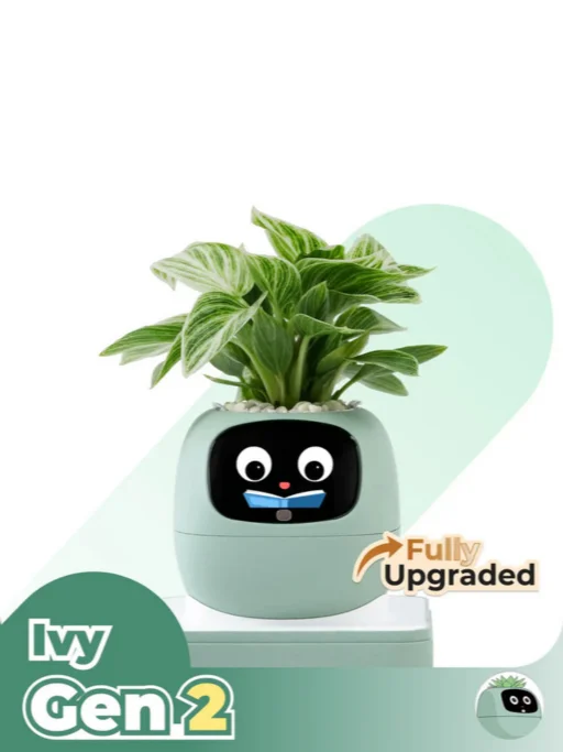 Stilzone Ivy Gen 2 product image (3)