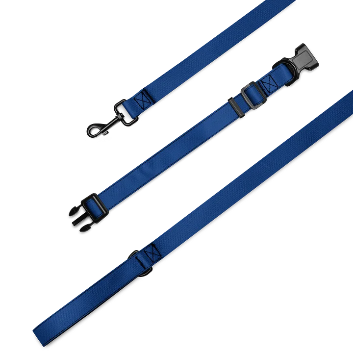 Custom Pet Collar & 6ft Leash Set product image (2)