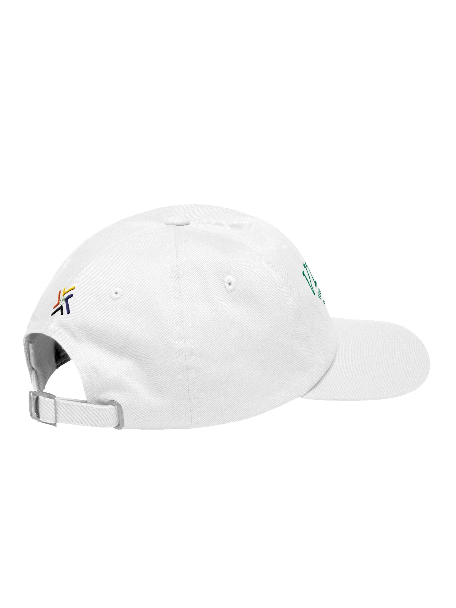 VI-2S-DK Virtual Ideas Dad Hat product image (88)
