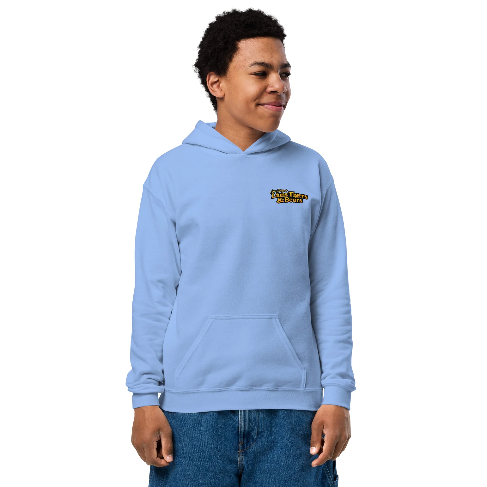 Nola Art Youth Hoodie product image (7)