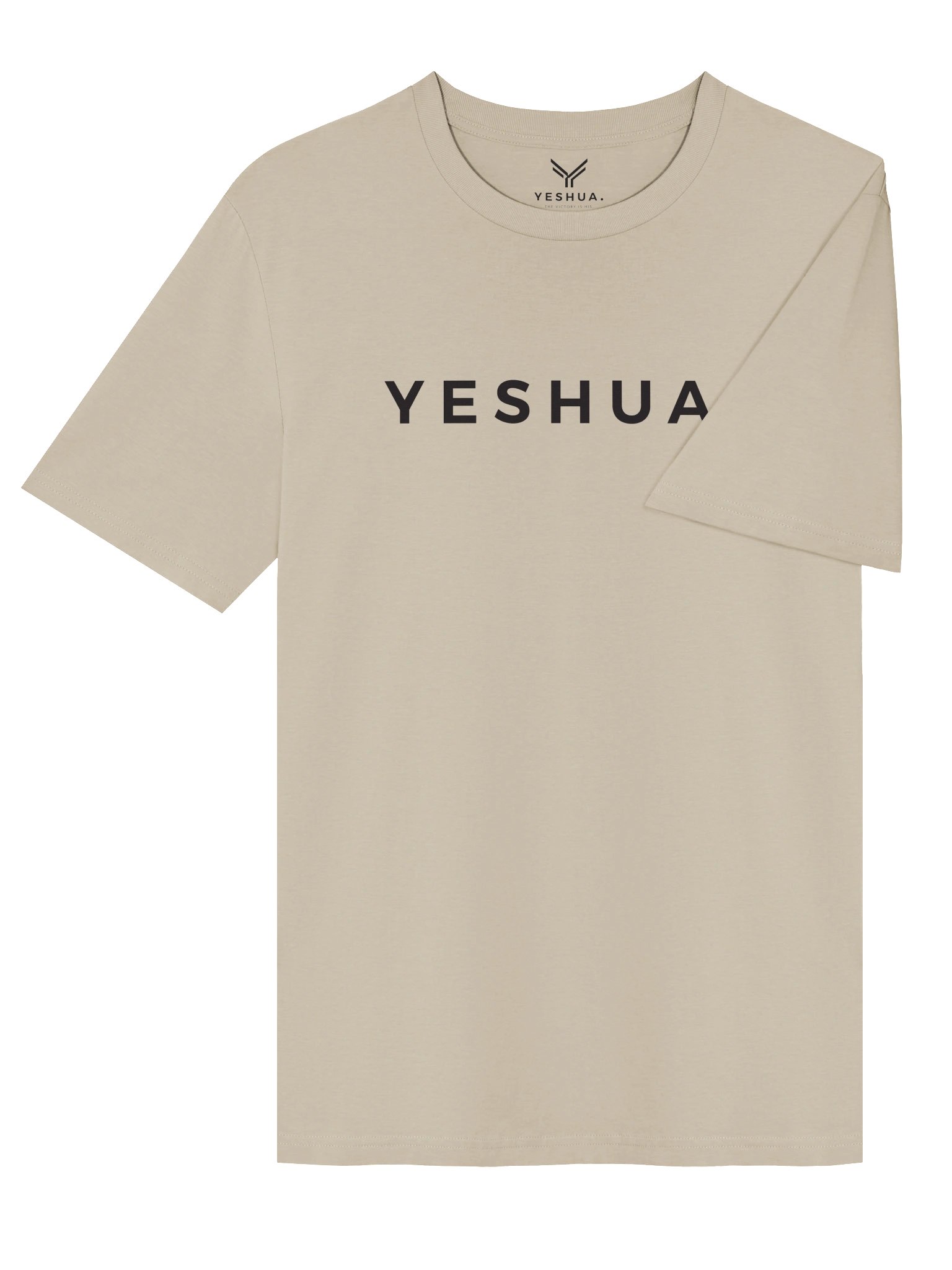 HIS VICTORY, OUR PURPOSE product image (4)