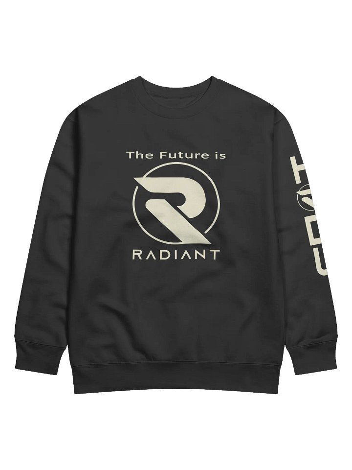 A Radiant HODL Sweater product image (1)
