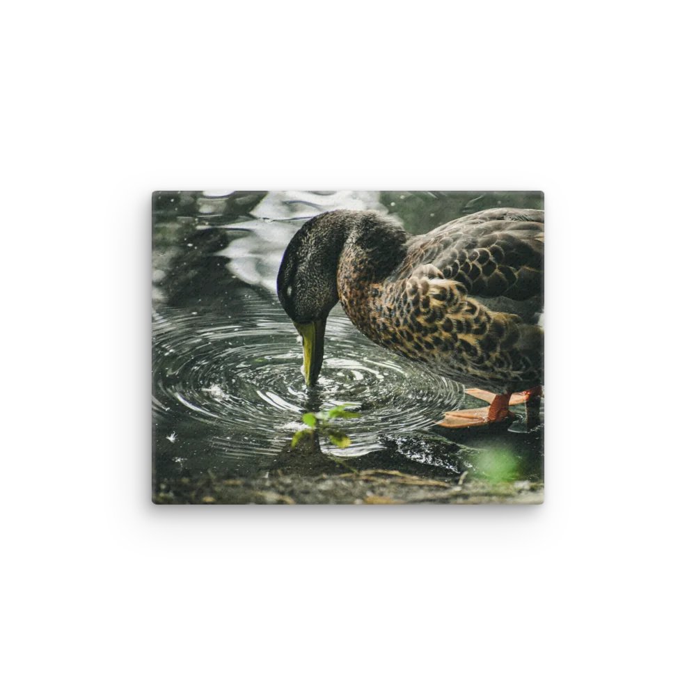 Drinking Duck product image (12)