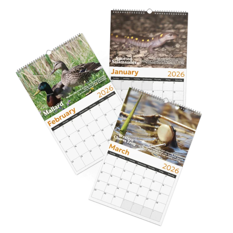 2026 Wall Calendar product image (2)