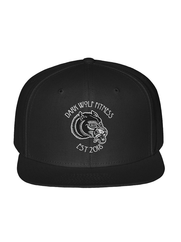 Viking Wolf Wool Blend Snapback product image (1)