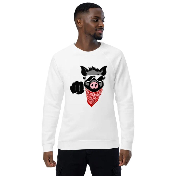 Fist Pig · organic raglan sweatshirt product image (1)