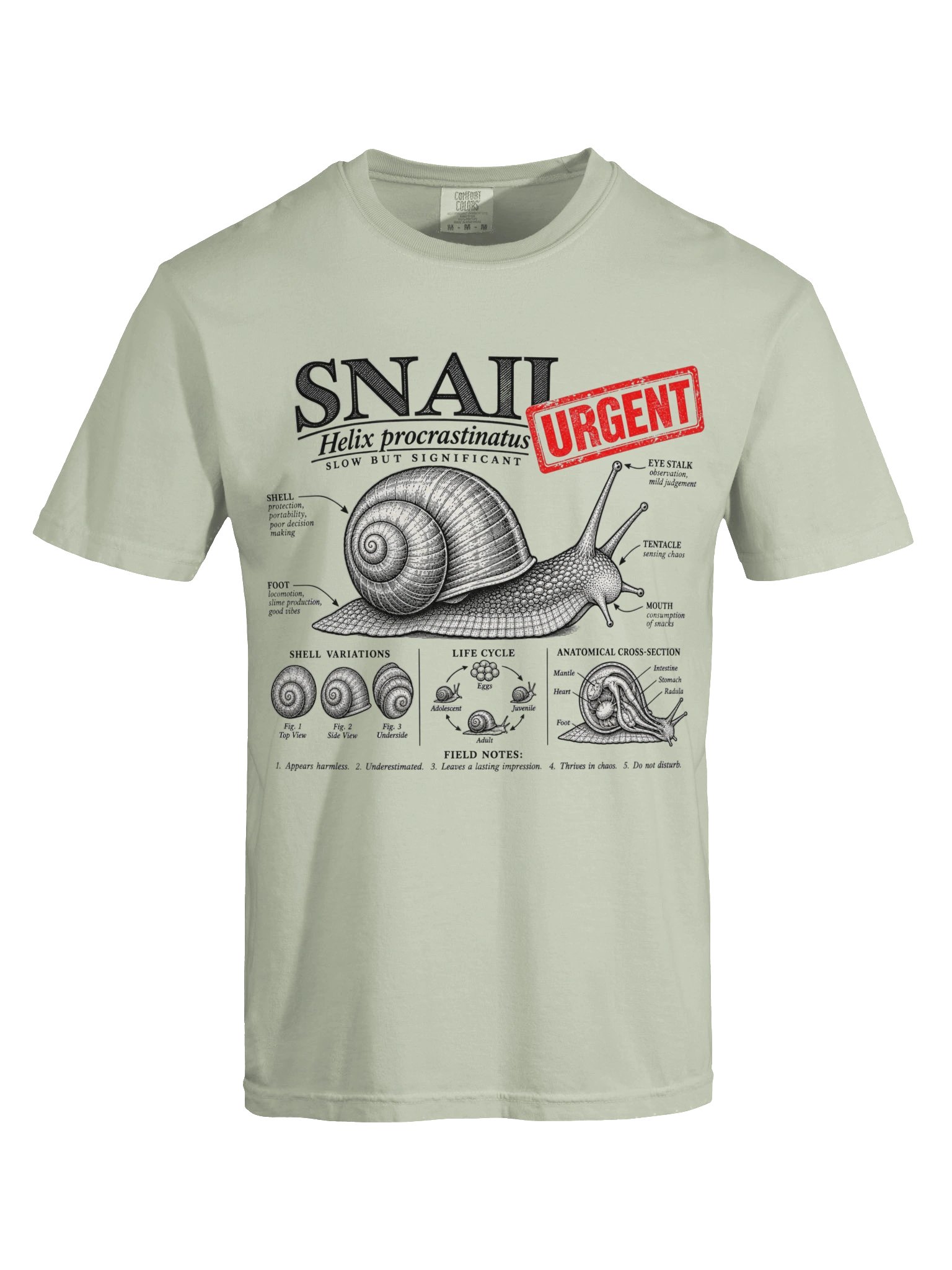 Urgent Snail product image (6)