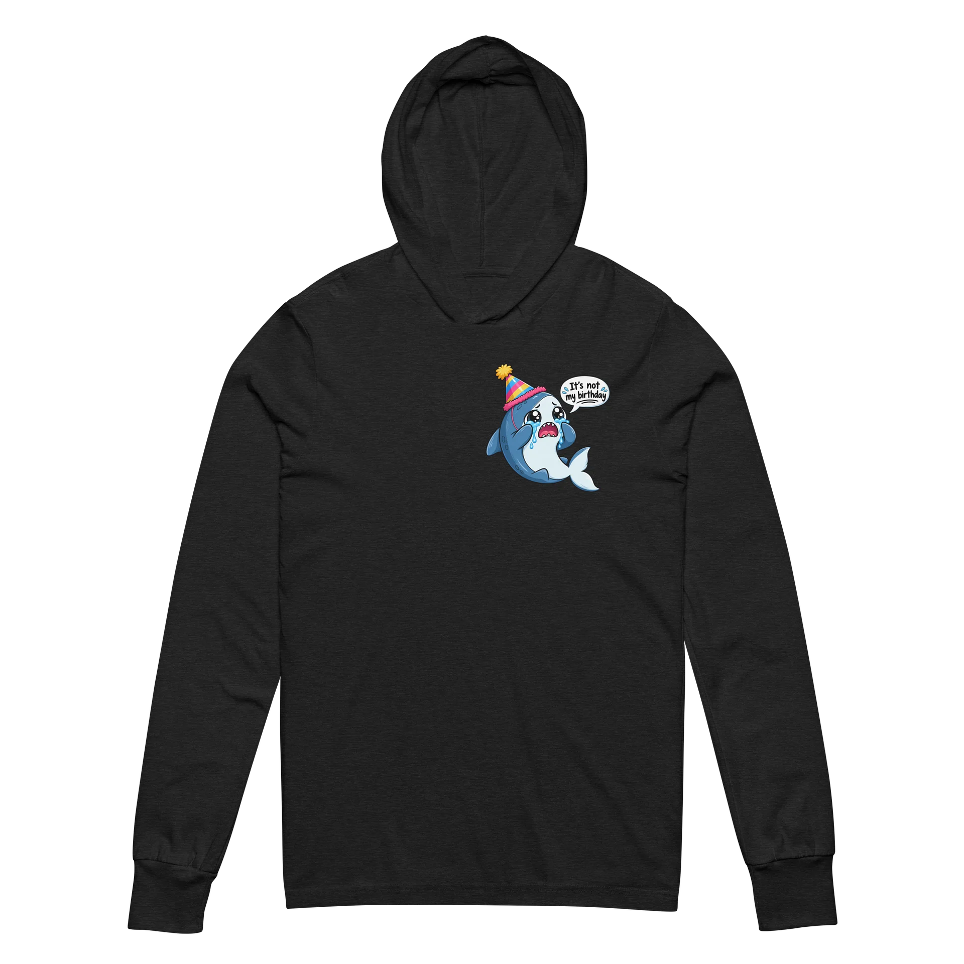 NOT MY BIRTHDAY HOODIE product image (1)