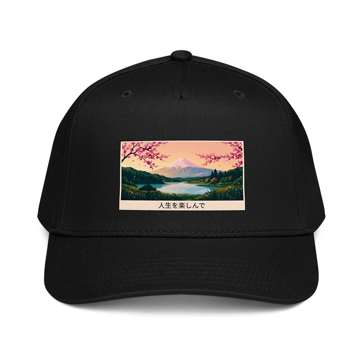 𝓝𝓲𝓰𝓱𝓽𝓓𝓻𝓮𝓪𝓶 ✕ Fuji 富士山 "Living Color" B-Ball cap - Standard product image (2)