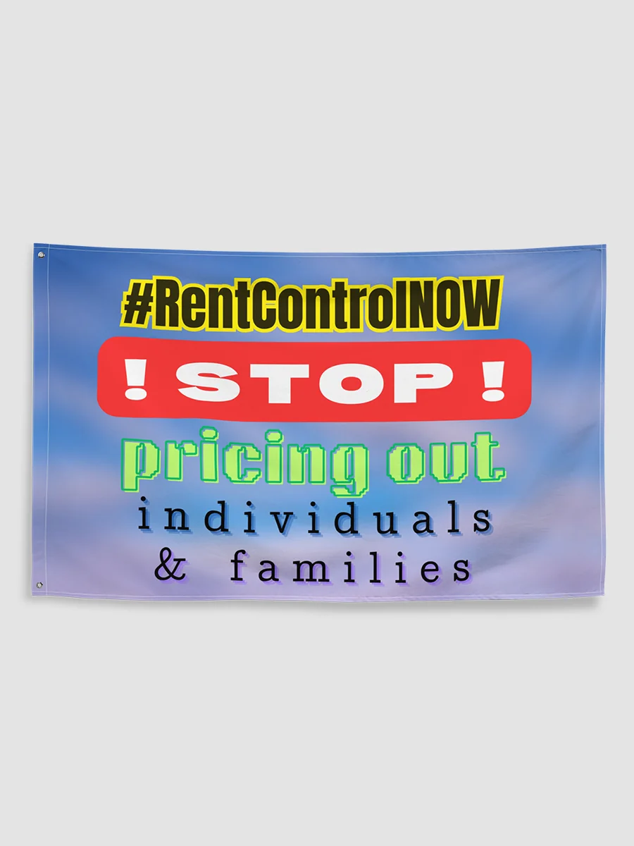 #RentControlNow - cbg - BiG flag product image (1)