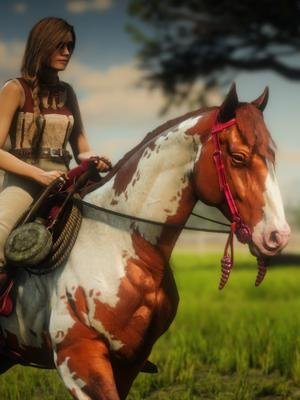 WHICH HORSE WILL YOU PICK? 🐎 server credits:@therift.trails #rdr #rdr2 #rdo #rdo2 #reddead #reddeadredemption2#rdr2online#reddead2#reddeadredemption #horses#horse#horsegame#newhorsegame#horsetok#viral#fyp#fypage
